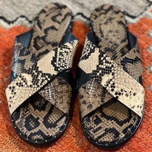 Freda Salvador Dew Criss Cross Sandal Snake